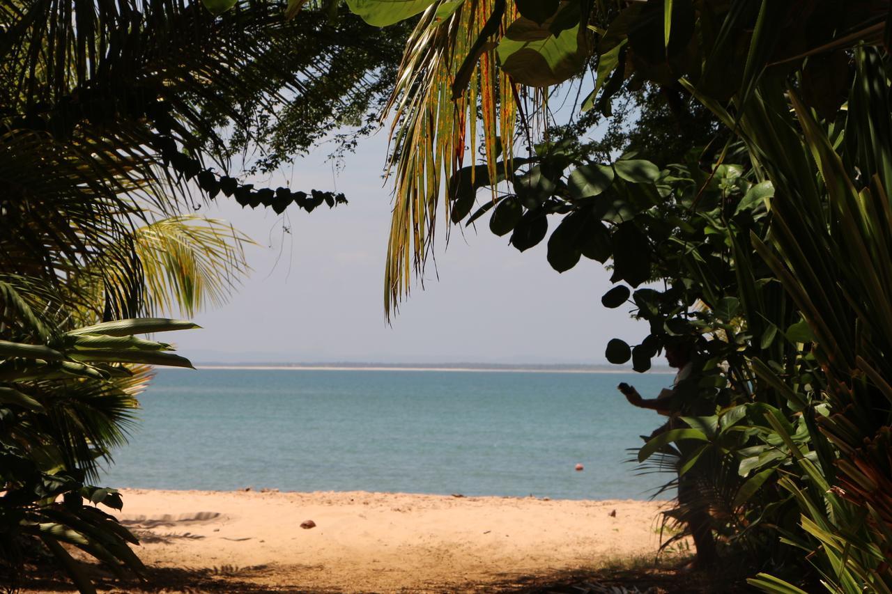 Coroaci Beach House Barra Grande  Extérieur photo